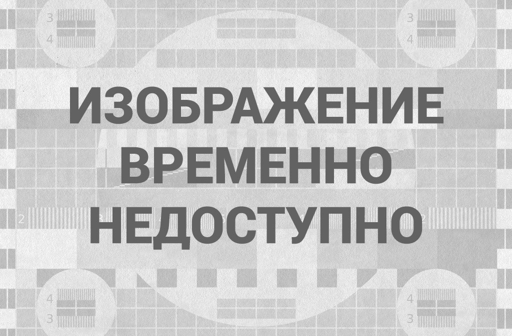 Специалист рассказал, как подвязками и подкормками растений добиться щедрого урожая
