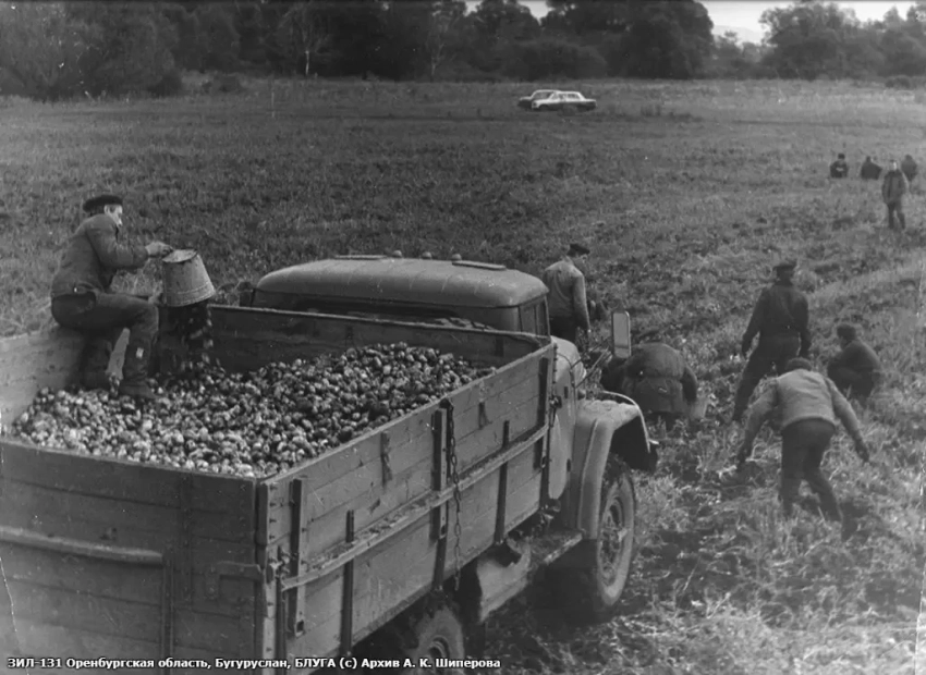Целинная рота на Дальнем Востоке